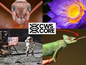 Crosswired Science Core Curriculum