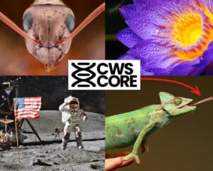 Crosswired Science Core Curriculum